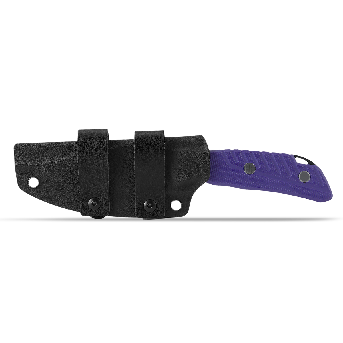 Barracuda - PFP16