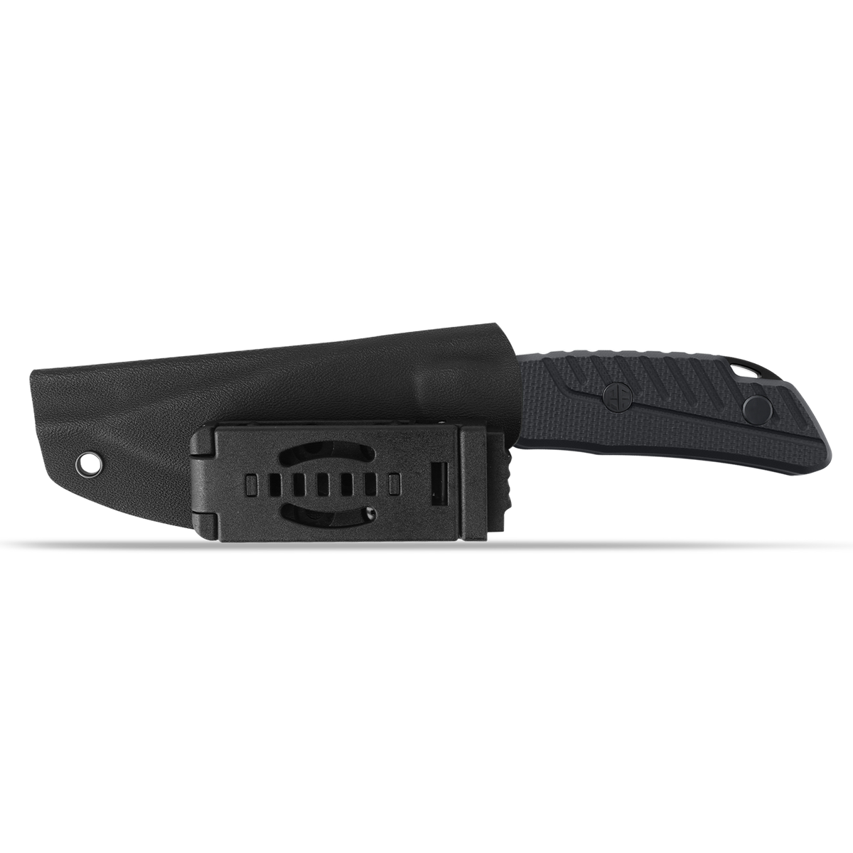 Barracuda - PFP16