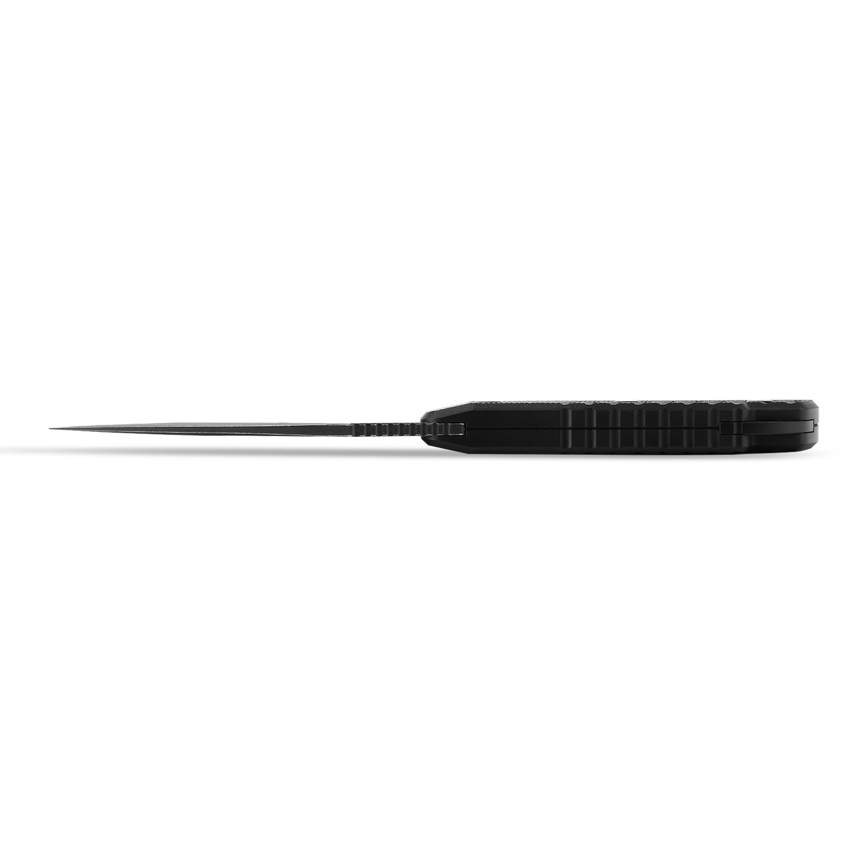 Barracuda - PFP16