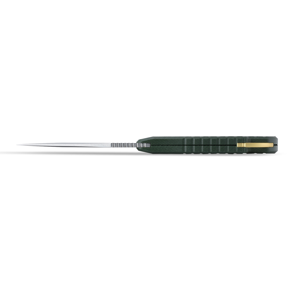 Barracuda - PFP16