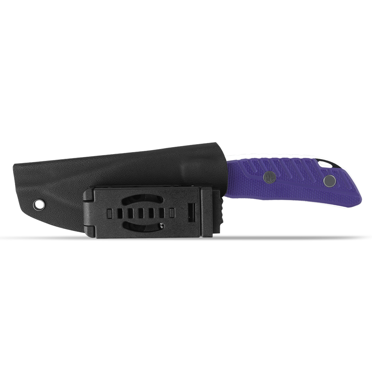 Barracuda - PFP16
